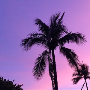 Meet your Posher, Isabella